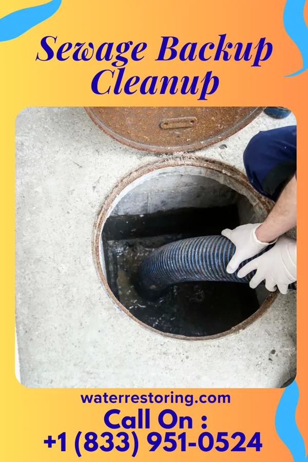 Sewage Backup Cleanup in Nashotah, WI