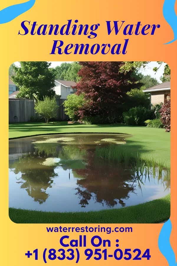 Standing Water Removal in Nashotah, WI